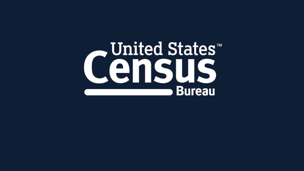 Economic Census How To:  3. Organizing Your Dashboard