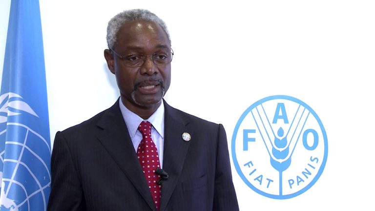 Remarks by Ibrahim Thiaw, UN Special Adviser for the Sahel