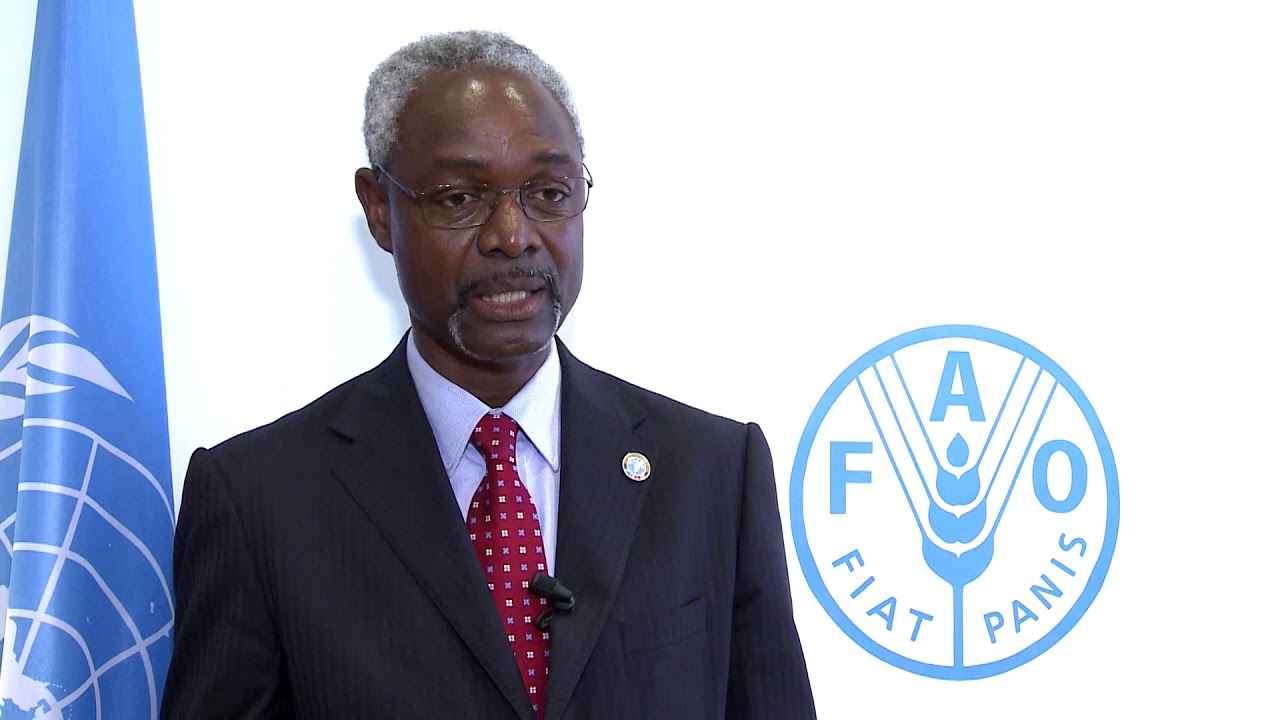 Remarks by Ibrahim Thiaw, UN Special Adviser for the Sahel