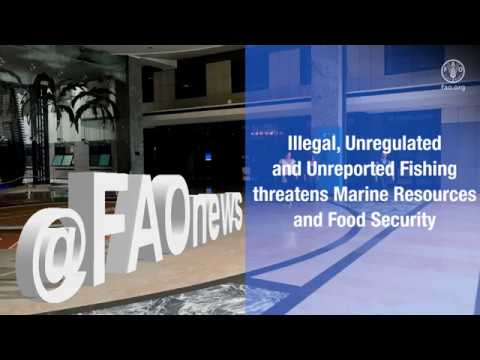 Combating IUU fishing to ensure food security and protect the environme…