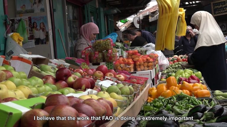 FAO Global Internship, Volunteers and Fellows Programme Overview – Long…