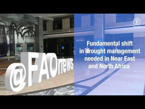 Fundamental shift in drought management needed in Near East and North A…