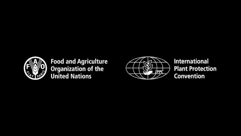 Interview to Mr Ralf Lopian at CPM-13 (Part I)