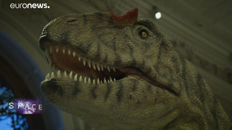 ESA Euronews: Deep Impact Vermeiden