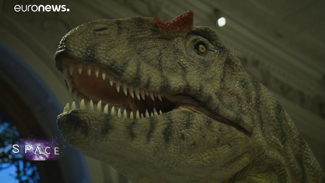 ESA Euronews: Deep Impact Vermeiden