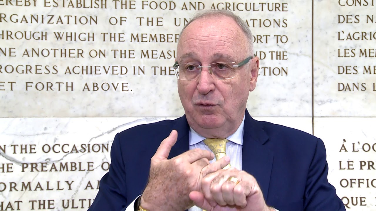 Remarks by Aldo Malavasi, Department of Nuclear Sciences and Applicatio…