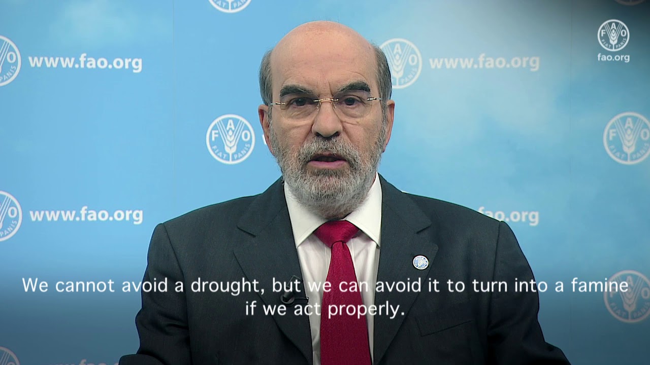 FAO Director-General’s message on World Desertification and Drought Day