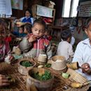 Fixing Food to Achieve Multiple Goals