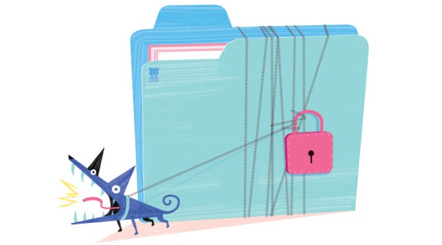 India, EU and the privacy challenge