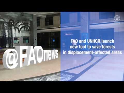 FAO and UNHCR launch new tool to save forests in displacement-affected …