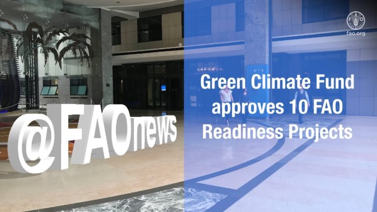 FAO helps countries lay the groundwork for climate-resilient futures