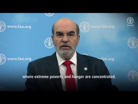 FAO DG on International Conference on Agriculture and Food in an Urbani…