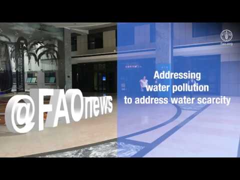 Water pollution: a serious threat to human health and the ecosystems