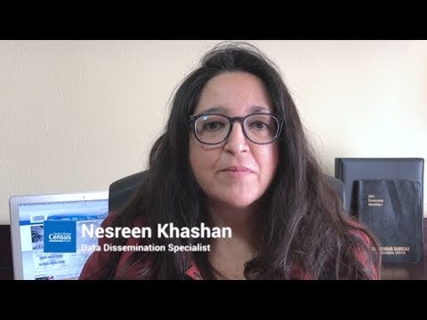 DATA GEMS: How to Access Supplemental Tables for Mid-Size Cities and T…