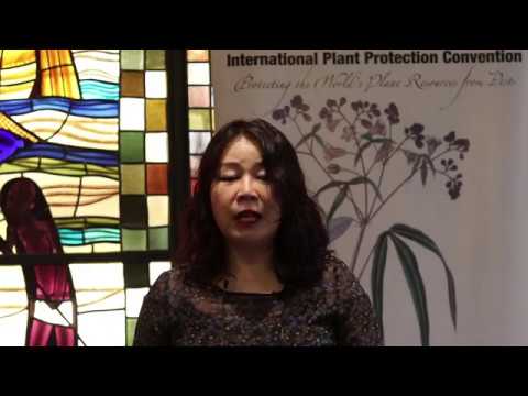 Interview to Ms. Kyu-Ock Yim at CPM-13 (Part III)