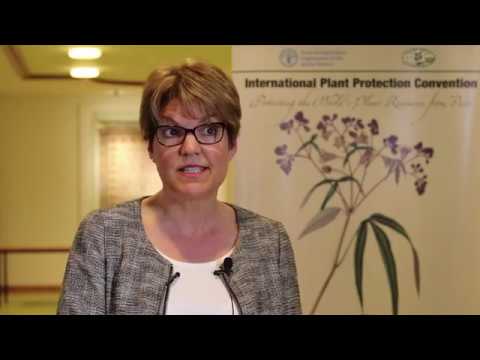 Interview to Ms. Marie-Claude Forest at CPM-13 (Part II)