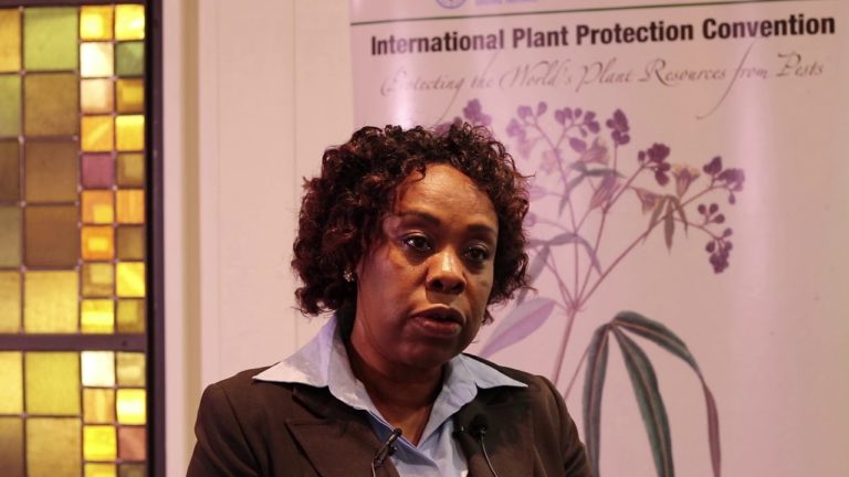 Interview to Ms. Esther Kimani at CPM-13 (Part I)