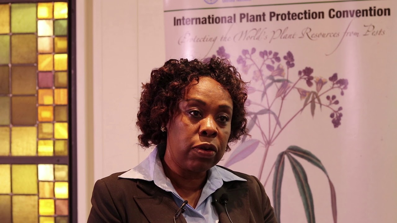 Interview to Ms. Esther Kimani at CPM-13 (Part I)