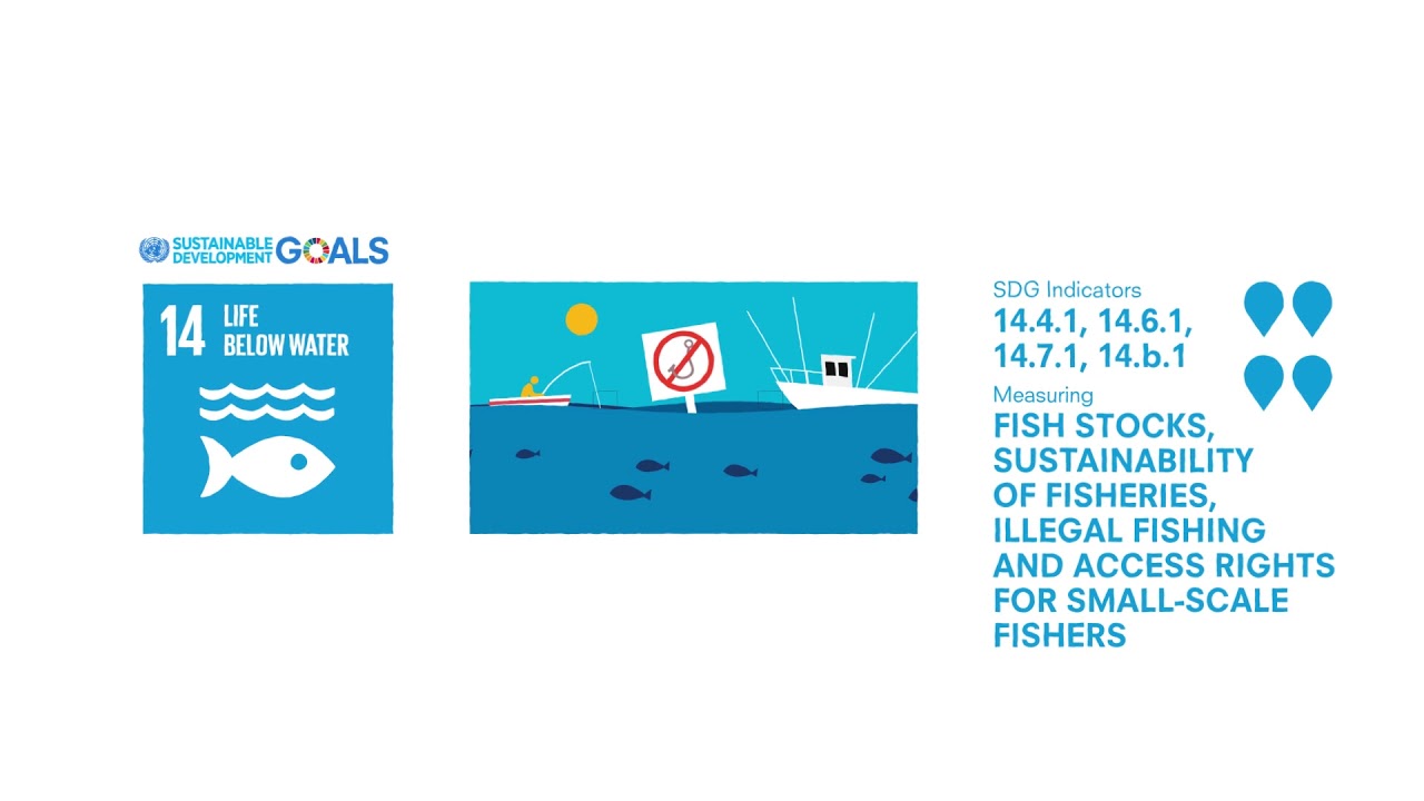 SDG 14 –  Indicators of fish stocks, sustainability of fisheries, and i…