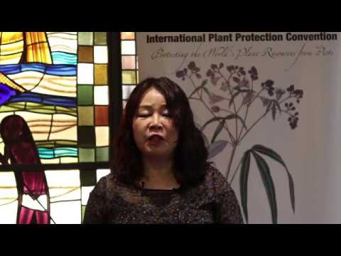 Interview to Ms. Kyu-Ock Yim at CPM-13 (Part II)