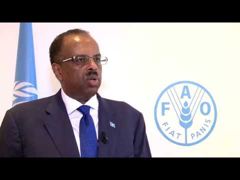 Remarks by Abdirahman Abdi Mohamed Hashi Minister for Fisheries and Mar…