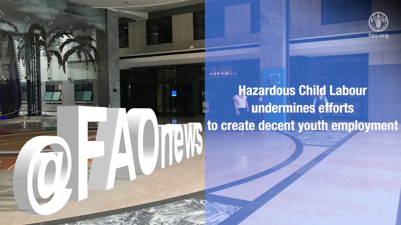 Child labour in agriculture is on the rise undermining efforts to elimi…