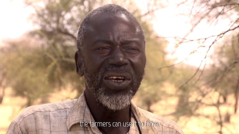 Large scale restoration for small scale farming in Africa’s Great Green…