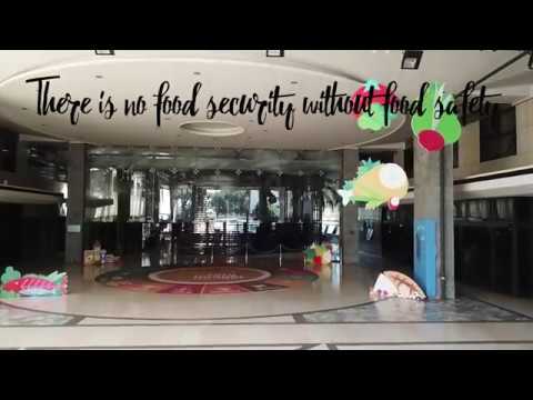 A world full of standards