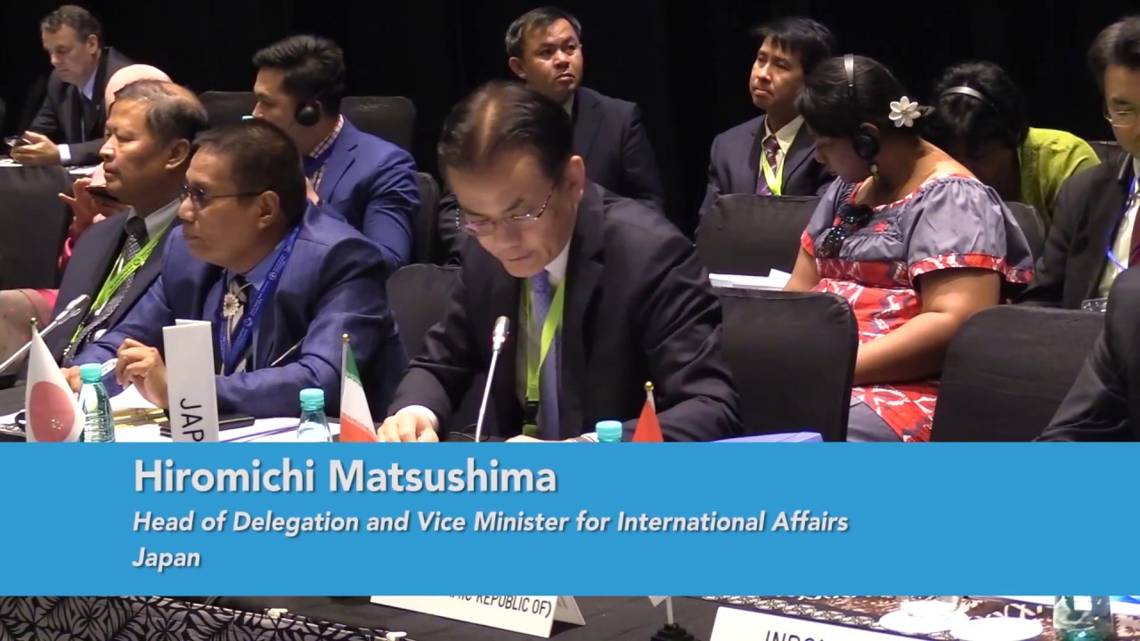 Japan Country Statement, FAO APRC 34, 2018