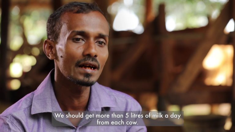 Rural Poverty Reduction: No longer the average dairy farmer