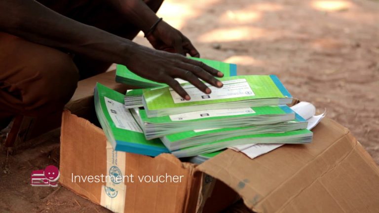 Contributing to social protection to protect and promote nutrition in S…