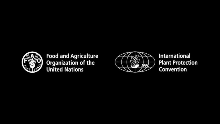 Ms. Lois Ransom (CPM-13 interview) – Part I