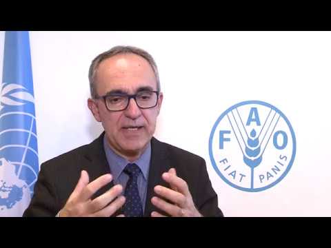 Remarks by Codex Delegation