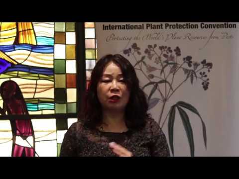 Interview to Ms. Kyu-Ock Yim at CPM-13 (Part I)