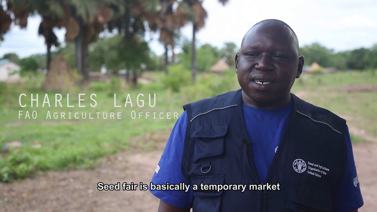 Improving food security through emergency livelihood response in South …