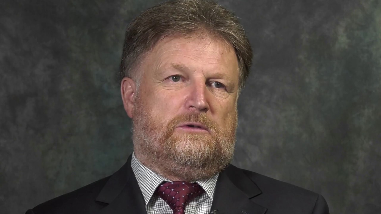 COFO 24 successful in clarifying relationships between forests and the …