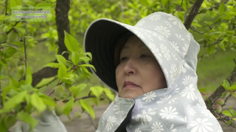 Globally Important Agricultural Heritage Systems from application to de…