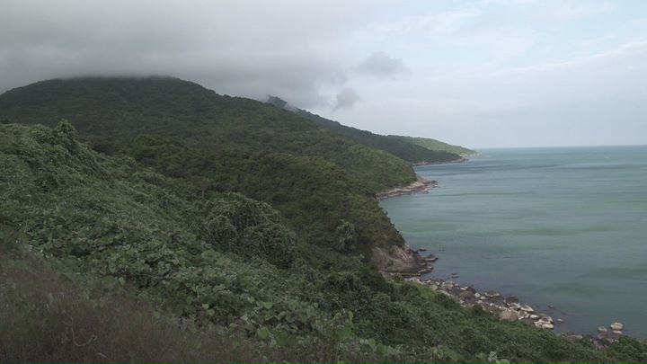 Forest rangers in Da Nang,  #Vietnam prevent threats such as…