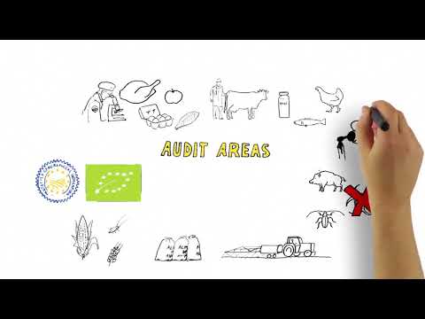 EU Health and Food Safety – Audit and Non-Audit work explained