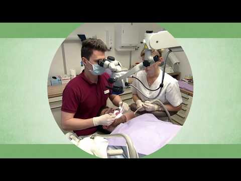 The economy benefits from the Investment Plan