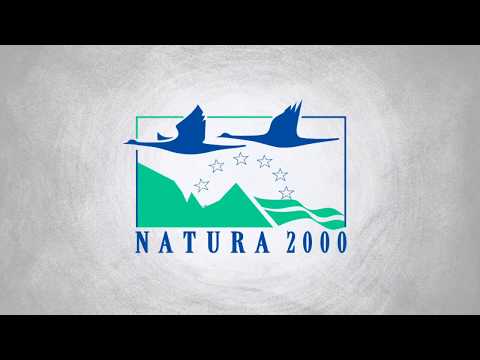 Biodiversity: what does it mean and why should we care?