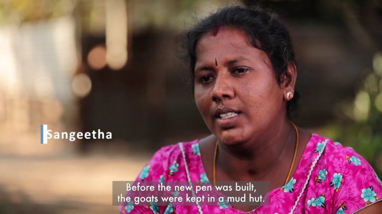 Rural Poverty Reduction: Improving goat rearing. Reviving livelihoods