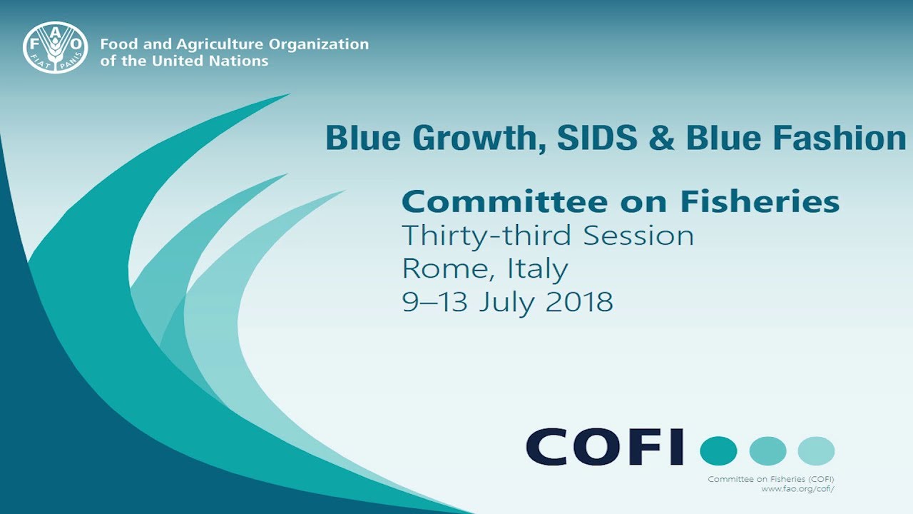 Blue Growth, SIDS and Blue Fashion