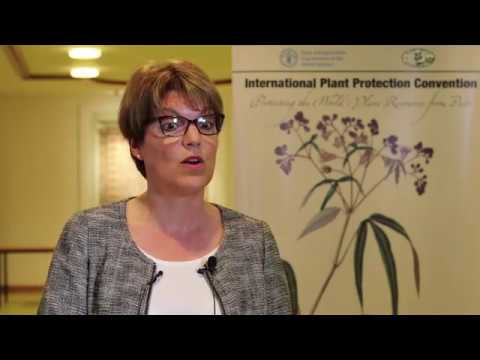 Interview to Ms. Marie-Claude Forest at CPM-13 (Part I)