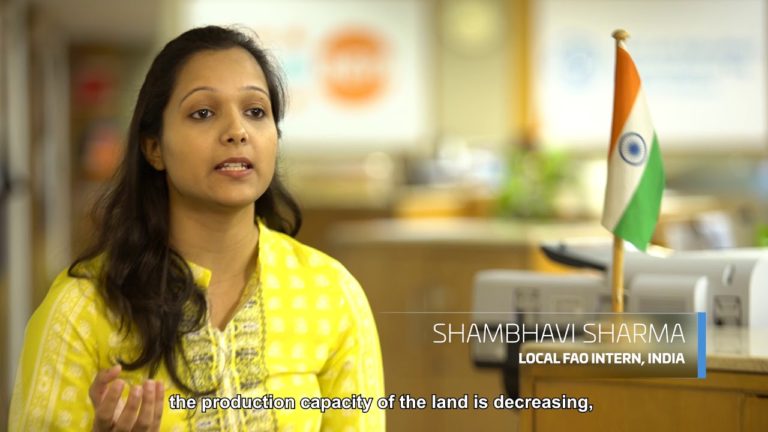 FAO Global Internship, Volunteers and Fellows Programme and SO4 Enable …