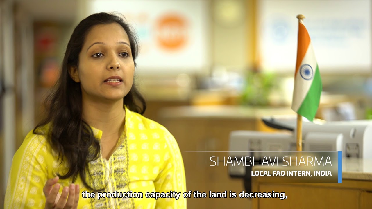 FAO Global Internship, Volunteers and Fellows Programme and SO4 Enable …