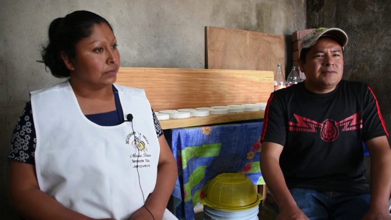 Comparten su experiencia y mejoran sus vidas