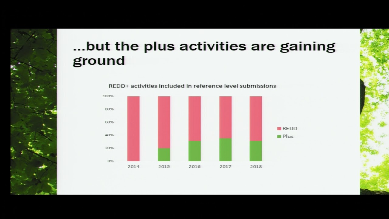 Countries report progress in reducing emissions: A Tree Talk with Marie…