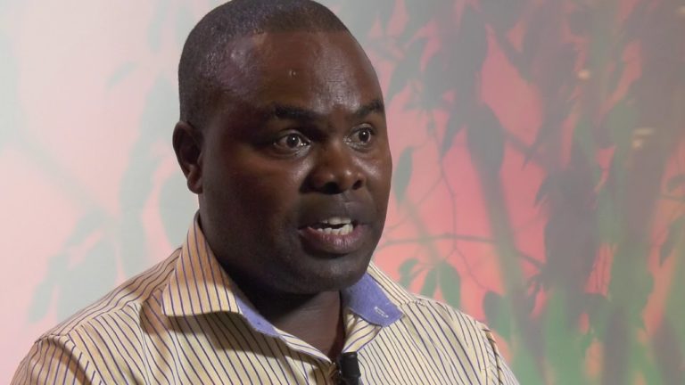 Forest and farm producers’ comparative advantages in fighting hunger, p…