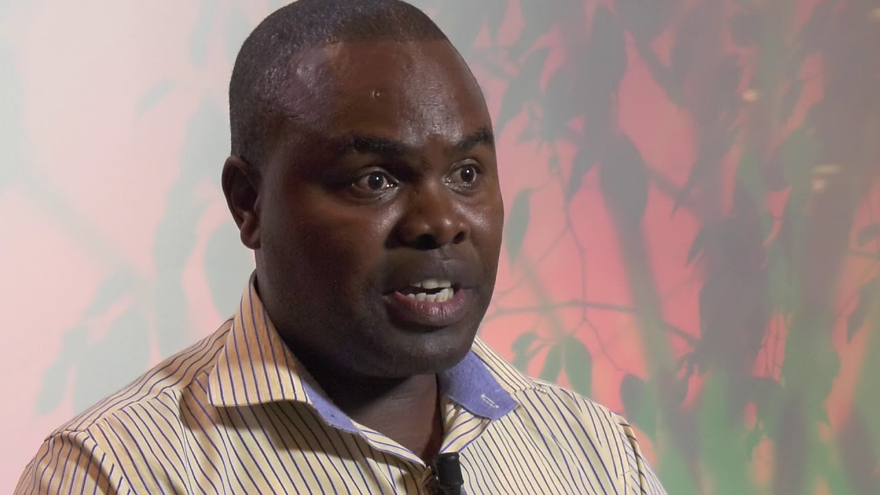 Forest and farm producers’ comparative advantages in fighting hunger, p…